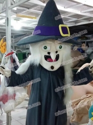 Witch mascot costume