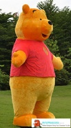 Inflatable Winnie Pooh Costume
