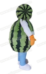 Watermelon Mascot Costume