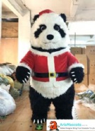 Christmas Panda